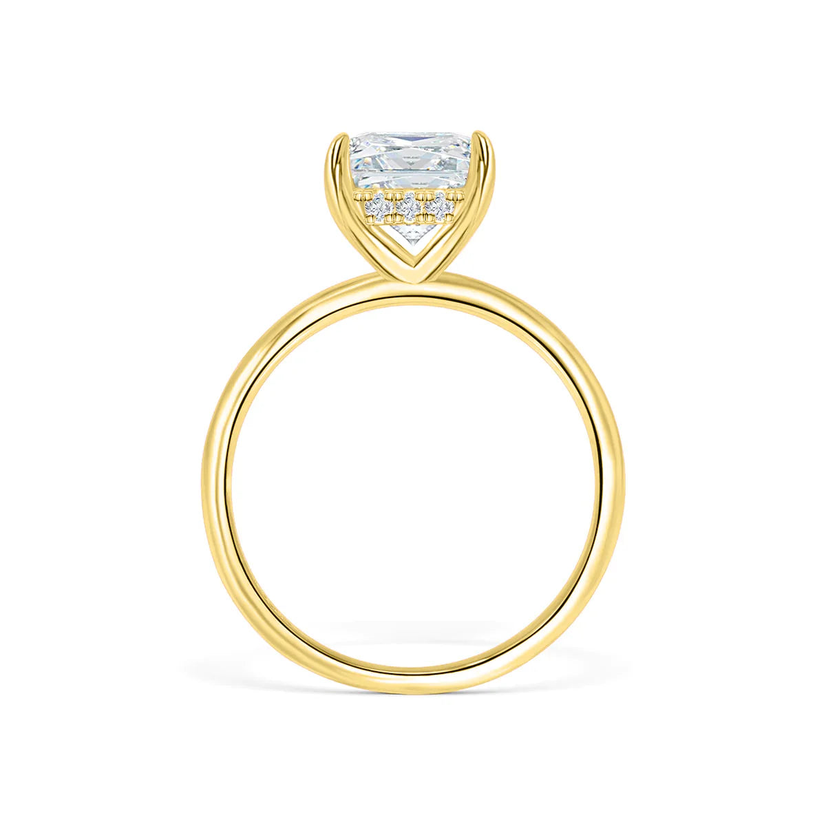 CAMELIA